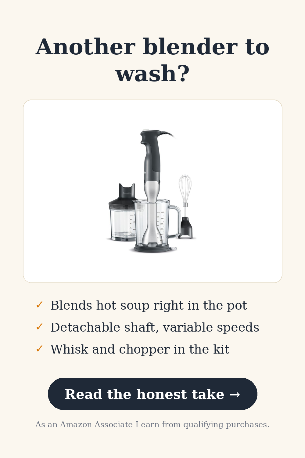 Immersion Blender — Another blender to wash?